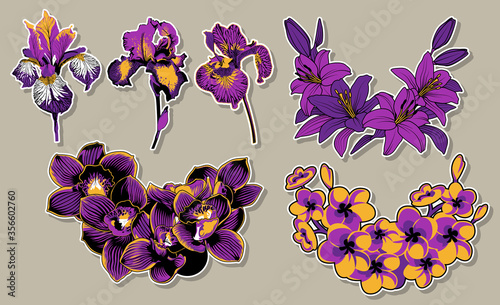 Floral Set Lily, Orchids, Iris Flowers, Bouquet Print Template