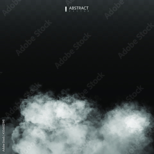 Fog or smoke isolated transparent special effect. Happy Halloween. Halloween composition. White vector cloudiness, mist or smog background. Vector illustration