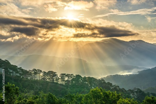 Sunrise over hillside a pine forest with long sun rays pass through valley with pines yellow sunny mornings this place more lively, warm and tranquil welcome to beautiful new day