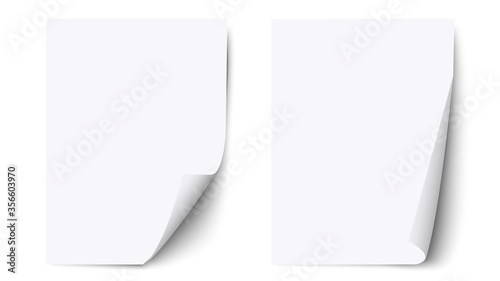 White blank sheet paper with curled corner and shadow, paper sheet  mockups