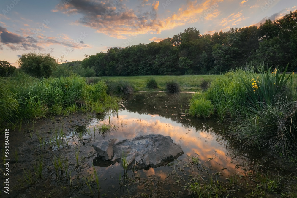 Small lake of Rokytka nature park in evening light, Hloubetin, Prague