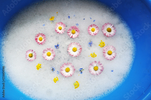 Chamomile flowers in soap foam