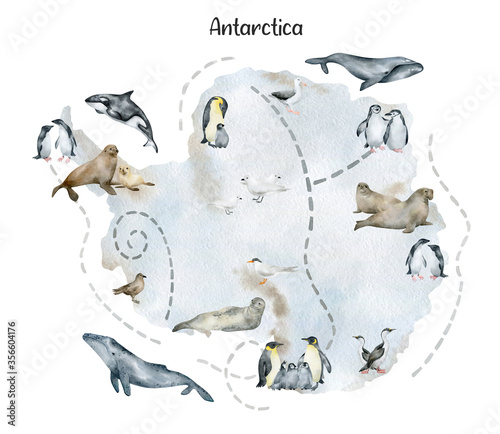 Fotografia, Obraz Watercolor illustration with map of Antarctica