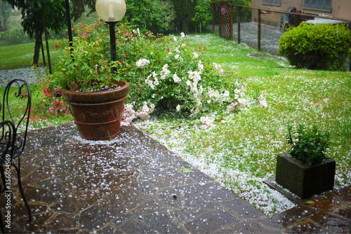 Photography Garden patio with roses and  lawn during a heavy hail storm