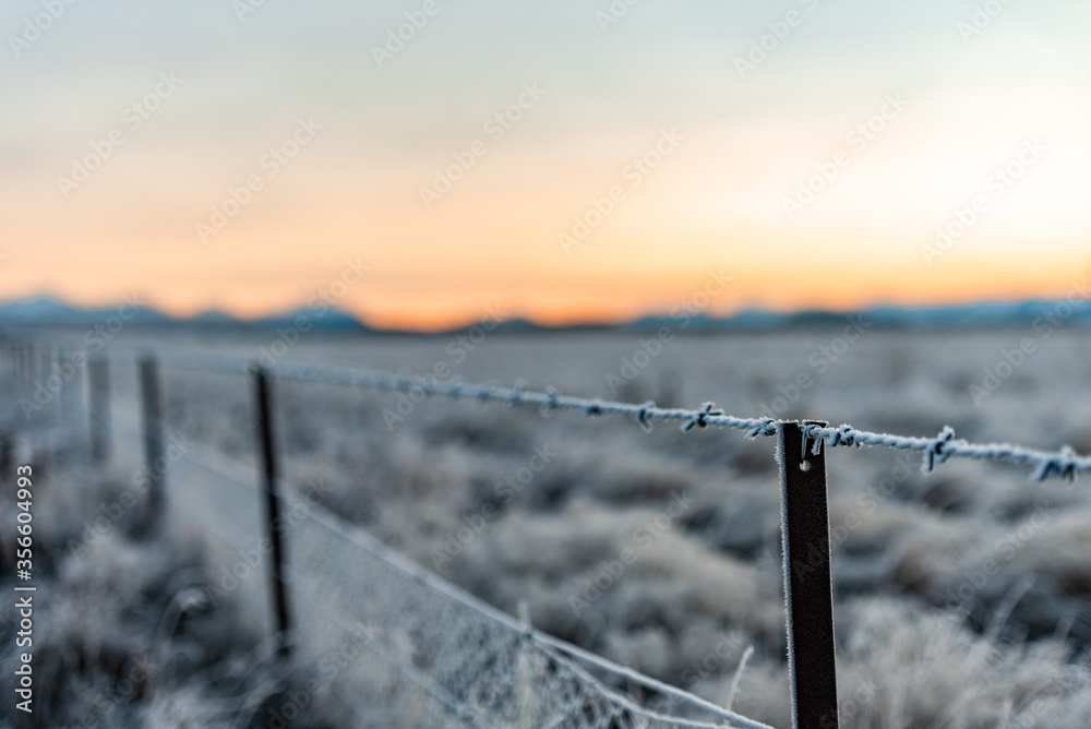 Frosty Barbed Wire Fence Frosty Barbed Wire Fence