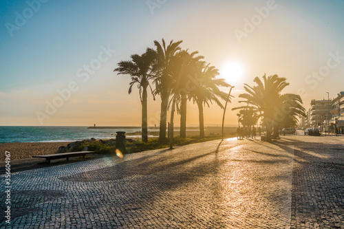 Beautiful palm trees silhouette at sunset embankment. Evening night sea landscape. People walk on the ocean.