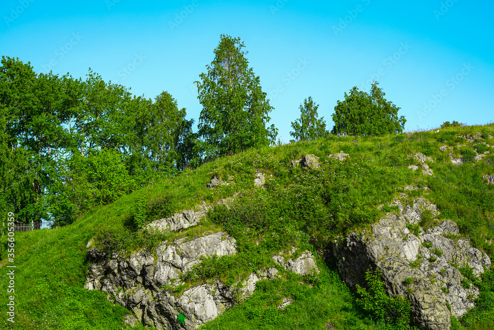 Landscape - nature in summer, greenery and rocks