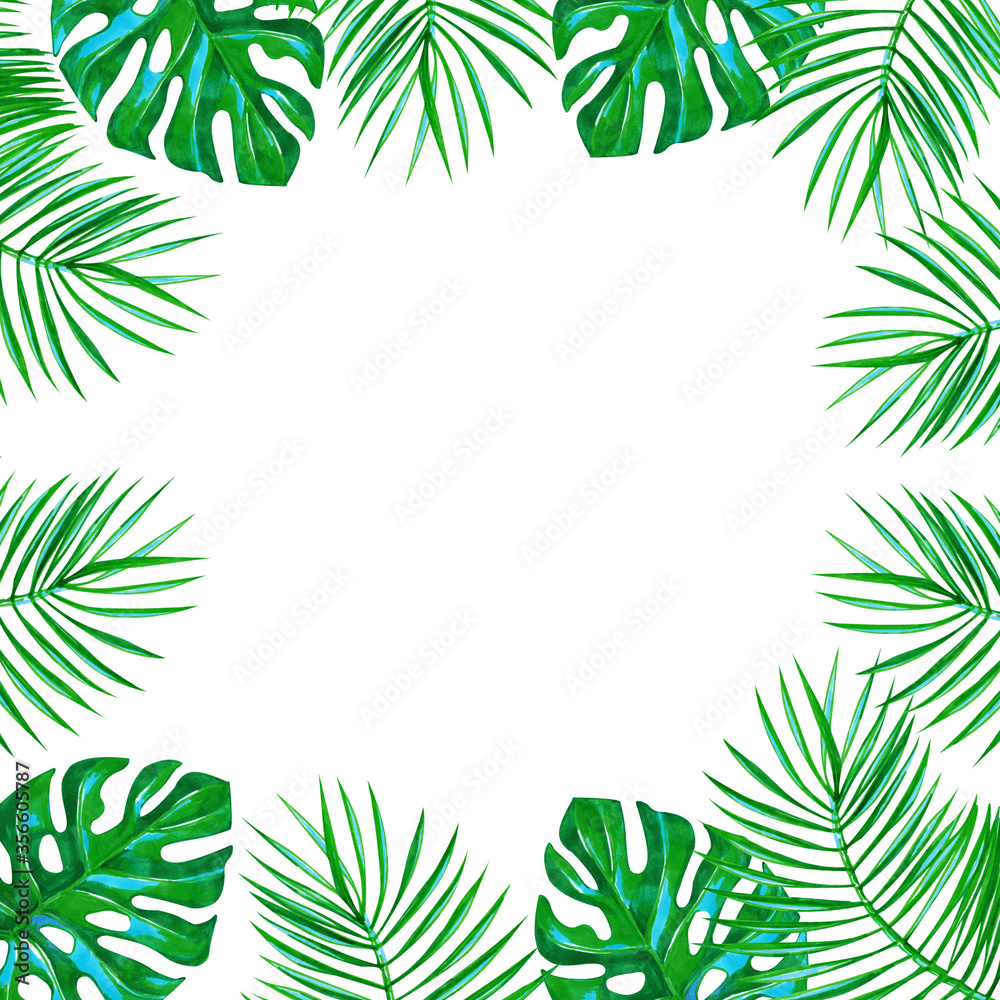 Palm and monstera exotic leaves frame on a white background.