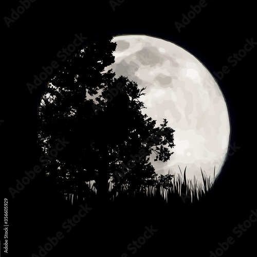 Vector silhouette of forest with moon background. Symbol of night.