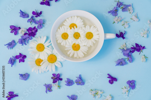 Cup with daisies on blue background. natural medicines and cosmetics.