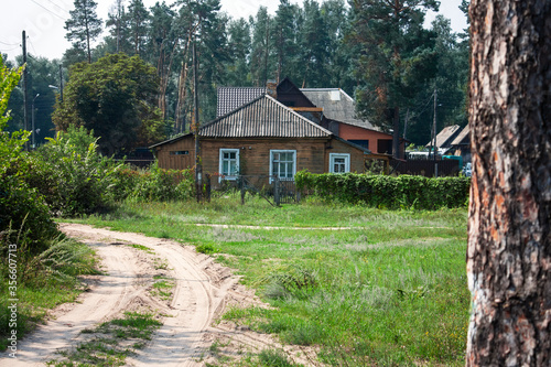 The road goes to a house in the forest. Wooden house in a green forest. Green trees in the village in summer on a sunny day.