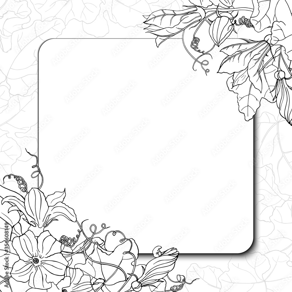 Vector square black and white card. Corner frame with pumpkin, leave and flower, rounded square frame on background with leaves. Hand line drawing. Template for Thanksgiving greeting card.