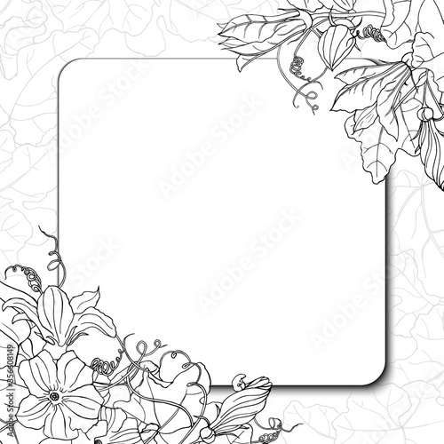 Vector square black and white card. Corner frame with pumpkin, leave and flower, rounded square frame on background with leaves. Hand line drawing. Template for Thanksgiving greeting card.