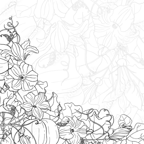 Vector square black and white card. Corner frame with pumpkins, leaves and flowers on line background. Hand line drawing. Template for Thanksgiving greeting card. Harvest festival.