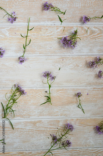 Spring background for design. Small purple or lilac flowers on a light wooden background with copy space for text