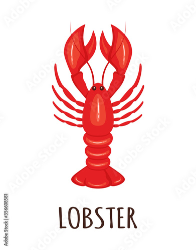 cartoon lobster isolated on white, vector illustration