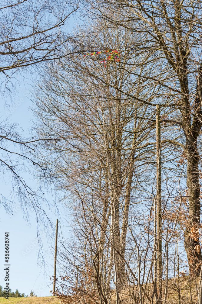 Flugdrachen abgestürzt in einer Baumkrone, Deutschland Flugdrachen abgestürzt in einer Baumkrone, Deutschland