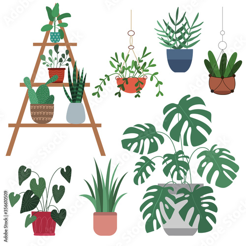 Set of houseplants - monstera,cactus, ficus, dracaena, aglaonema, sansevieria. Collection of indoor plants in pots. Home decor. Vector flat illustration. Isolated on white background