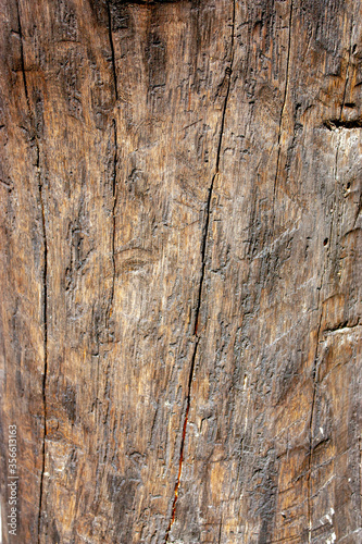 Wallpaper Mural The unique structure of natural wood. An old board with cracks and knots darkened over time. Texture of old wood closeup. Tree bark.  Torontodigital.ca