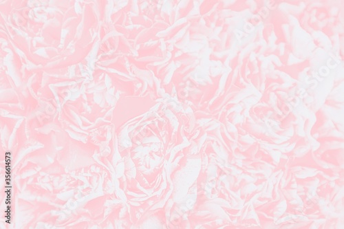Soft pink watercolor pink rose background, floral wallpaper