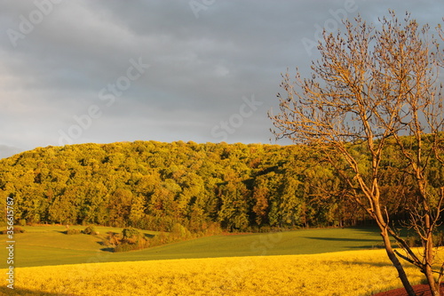 Goldene Landschaft