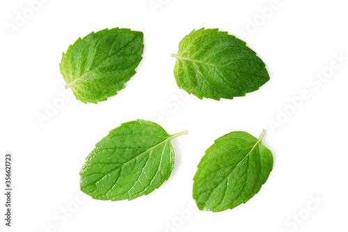 Mint leaves with water drops isolated on white background. Top view, flat lay