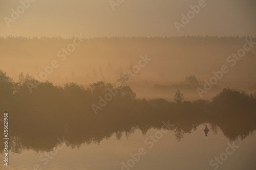 The river Bank in a yellow fog colored by sunlight at dawn.Russia © Nina