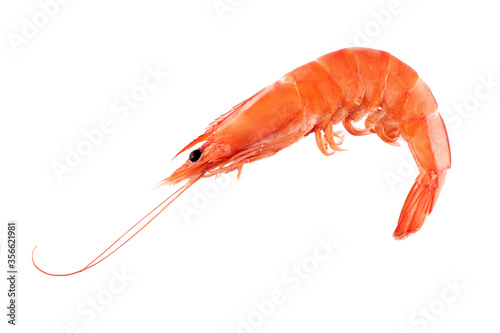 Red cooked prawn or shrimp isolated on white background 