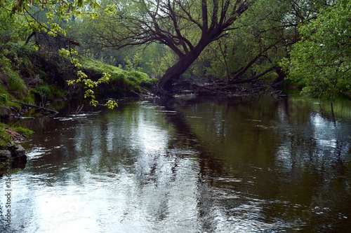 Reflection of green trees and banks in a calm river in the summer. River rafting in summer. Packrafting in wilderness.