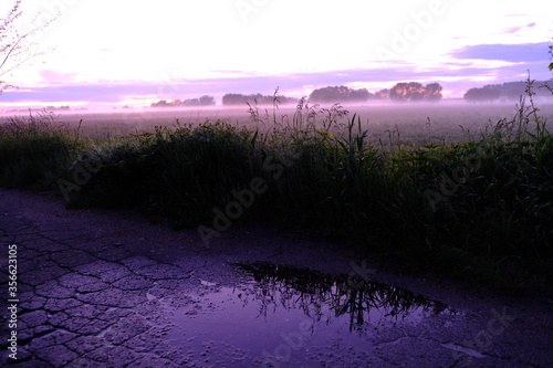 Landscape with fog