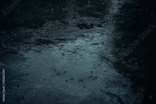 rainy day, raindrops on the asphalt
