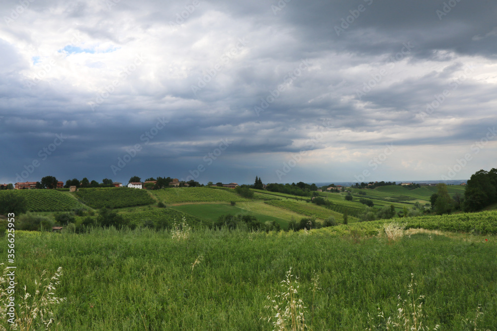 Colline coltivate a vigneti e campi di grano sotto un cielo minaccioso e temporalesco di una calda giornata d’estate