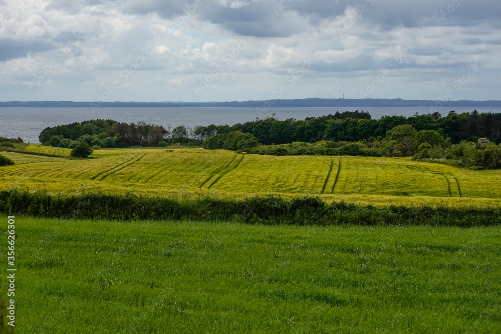 Ebeltoft, Denmark Fields and forest lokking out towards Aarhus.