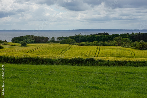 Ebeltoft  Denmark Fields and forest lokking out towards Aarhus.