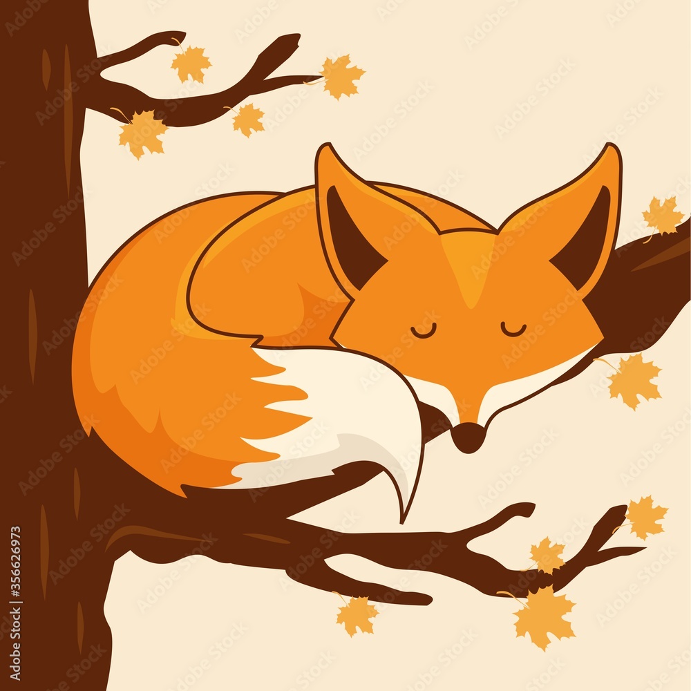 Sleep Fox Cartoon Cute Sleeping Animals Lazy Sleep Fox Cartoon Cute Sleeping Animals Lazy