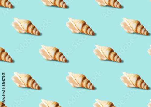 Seamless colorful pattern of shells on pastel blue color background. From top view. Conceptual trendy style. Minimal background