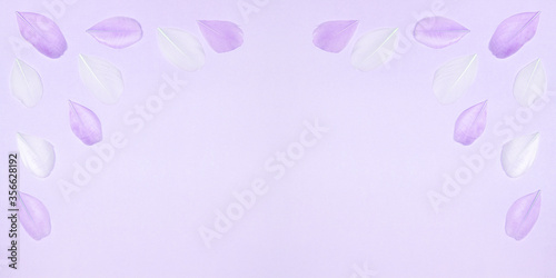 Purple and white feathers on lavender colored pastel background. Top view, flat lay. Creative frame with copy space