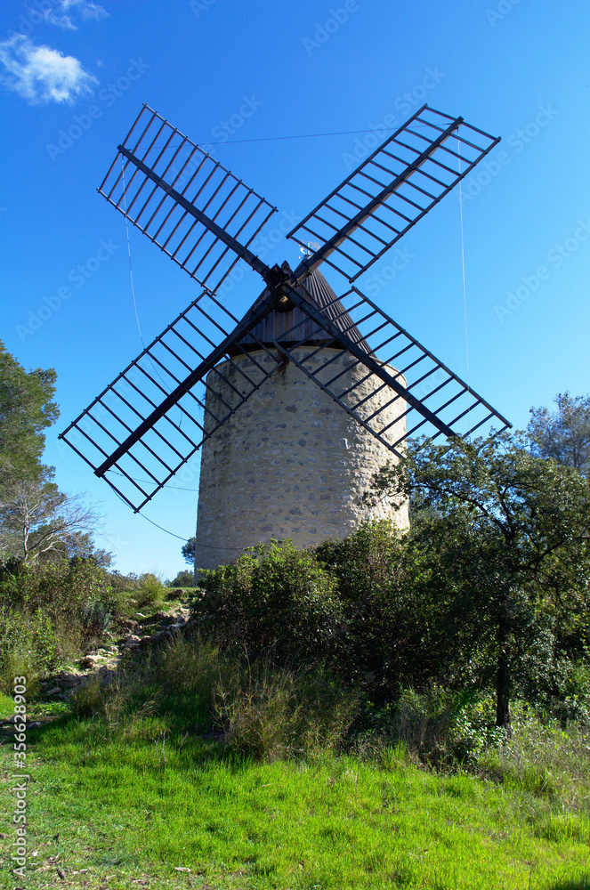 Obraz premium Moulin