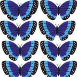 blue black butterfly