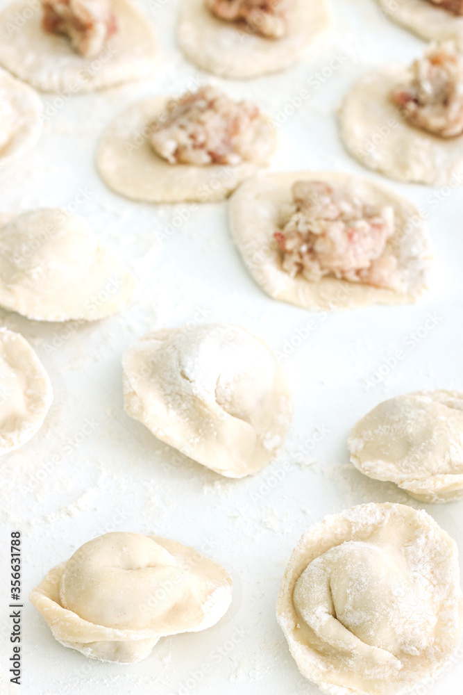 Homemade Cooking chinese Ravioli or dumplings