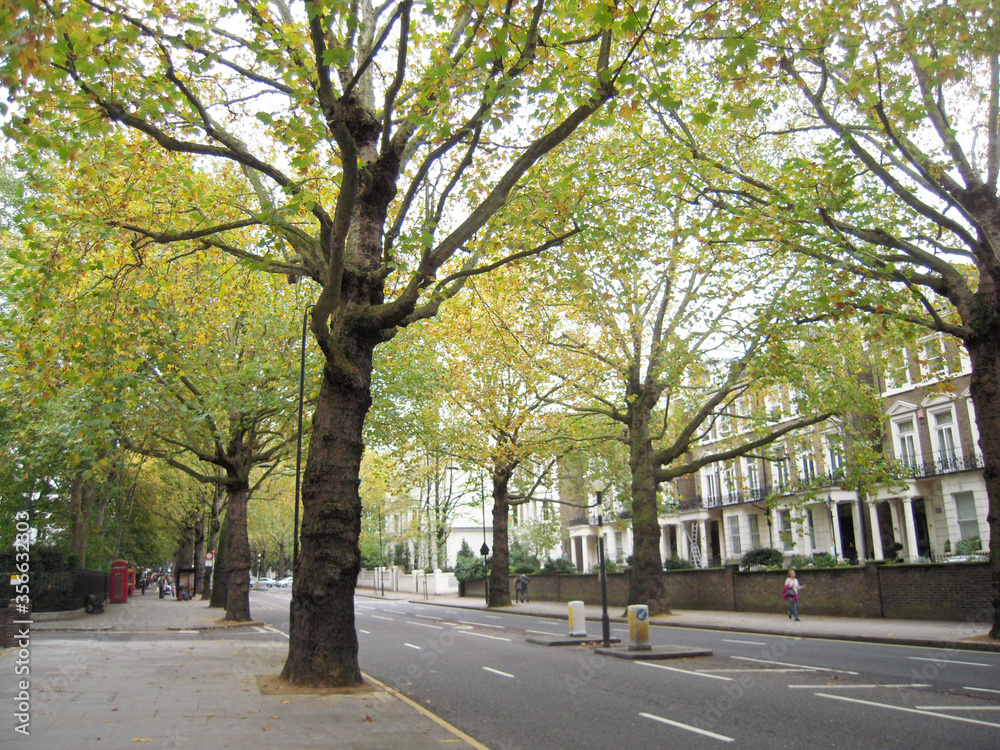 秋のロンドンの歩道