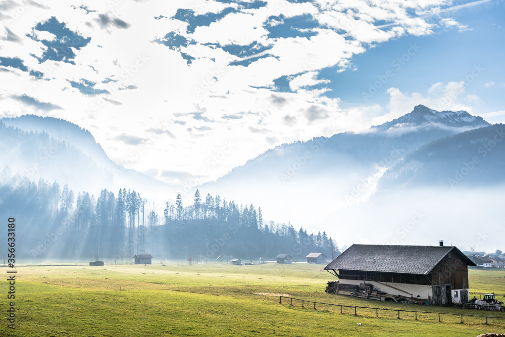 Sunrise in Alpine meadow
