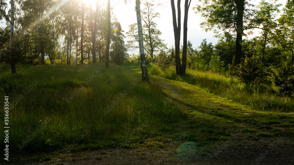 Obraz premium Landscapes and views in the Botanical Garden in Radzionków. Ready for entry.