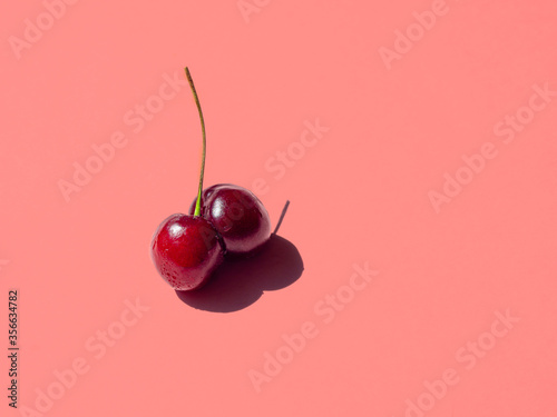 double cherry on pink bright background, close up.
copy space, template