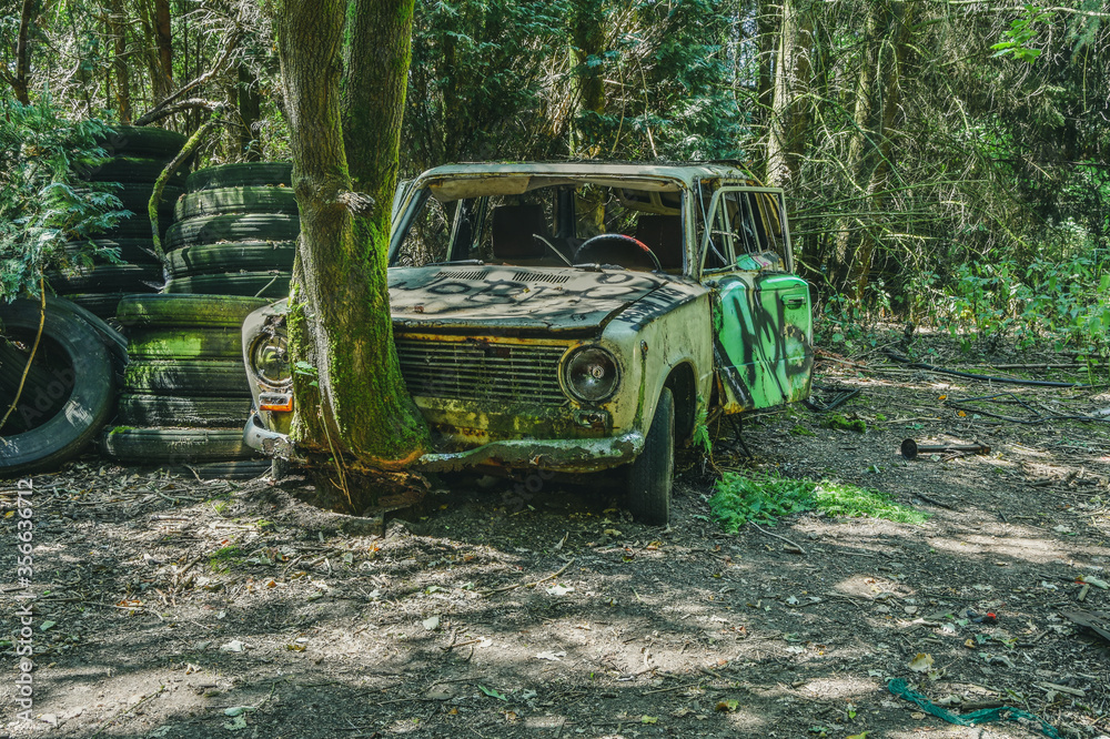 Arbre qui pousse dans le moteur d'une vieille voiture Arbre qui pousse dans le moteur d'une vieille voiture