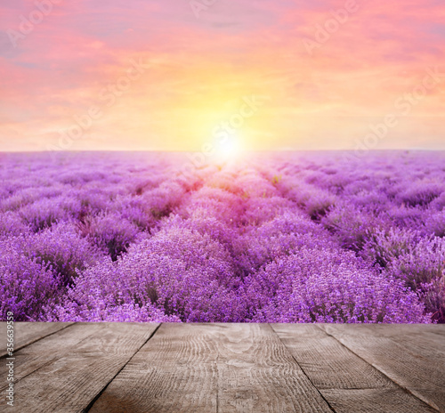 Empty wooden surface and beautiful blooming lavender field on summer day at sunset