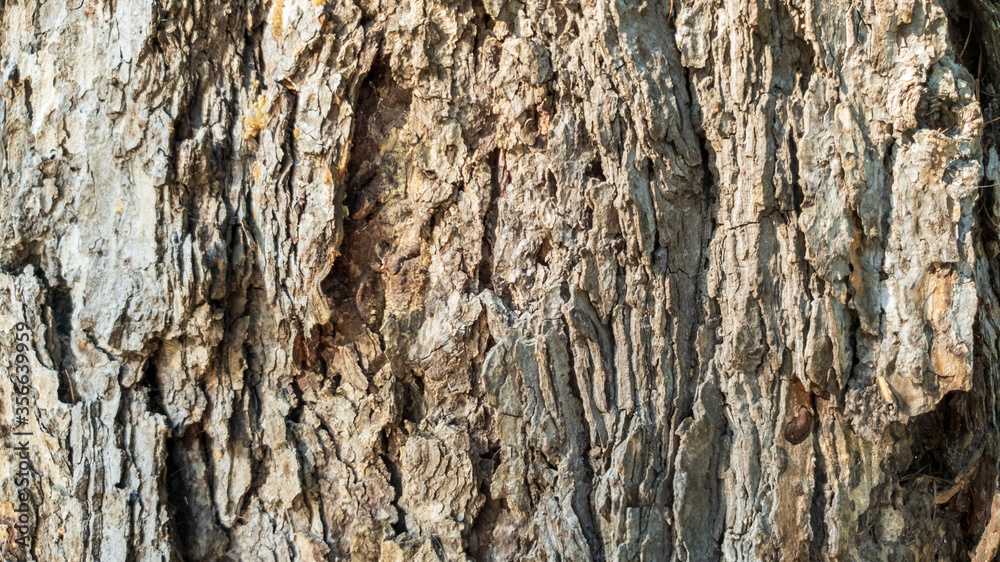 Fototapeta premium stone wall texture