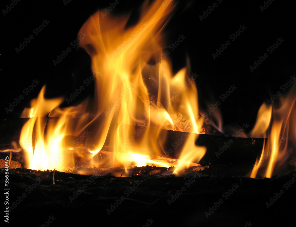 bonfire in the forest on a dark summer night bonfire in the forest on a dark summer night