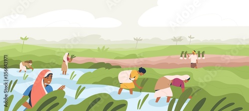 Smiling Indian farmers working in paddy field vector flat illustration. Man and woman in traditional clothes picking harvest. Male and female agricultural workers at plantation landscape