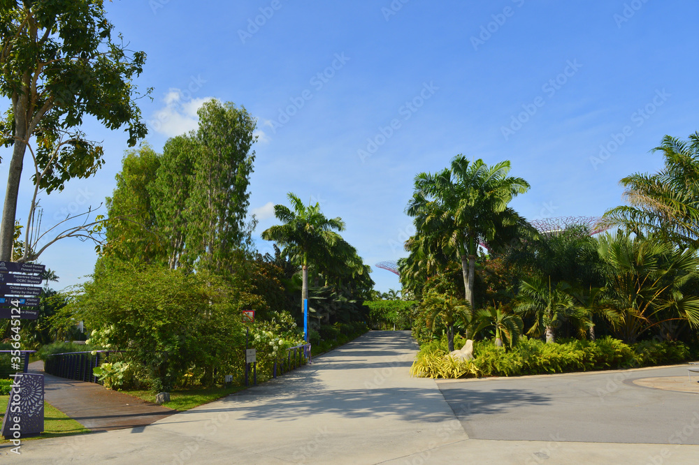 Singapore, beautiful city of Sigapur, beautiful building, business, city, sea, beach, tourism, green city, travel, inception, hotels, Singapore, beautiful city of Sigapur, beautiful building, business, city, sea, beach, tourism, green city, travel, inception, hotels,